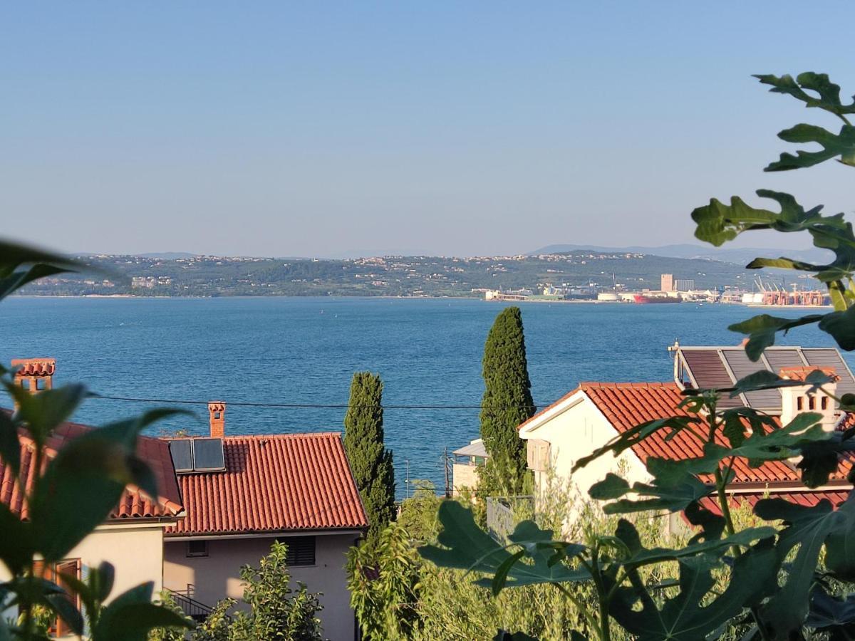 Apartment Rea Koper Exteriér fotografie