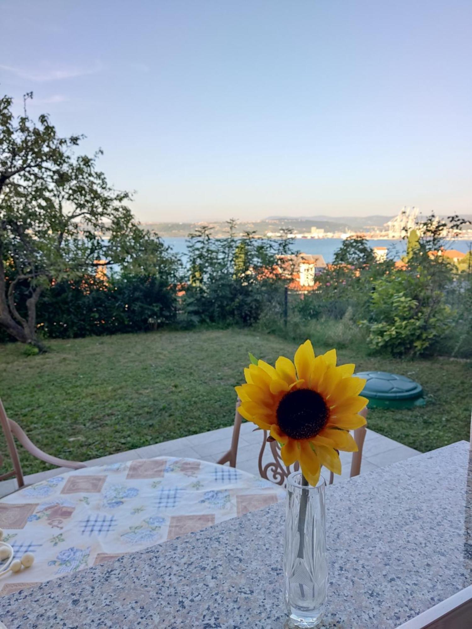 Apartment Rea Koper Exteriér fotografie
